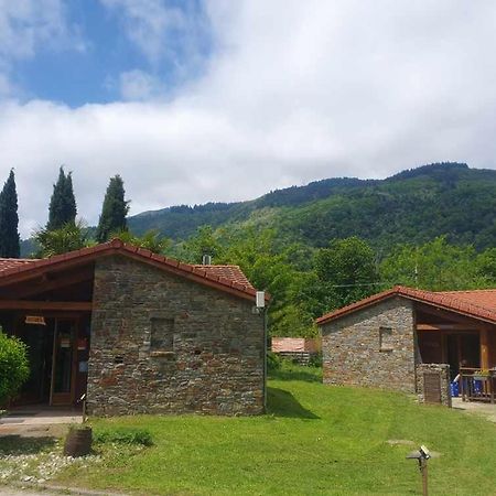 Chalets A 10 Minutes De Foix Mercus-Garrabet Exterior foto